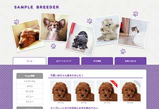 tp_breeder4_purple