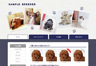 ブリーダー向け無料ホームページテンプレートtp_breeder4_navy