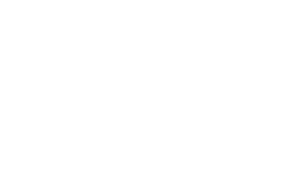 SAMPLE COMPANY