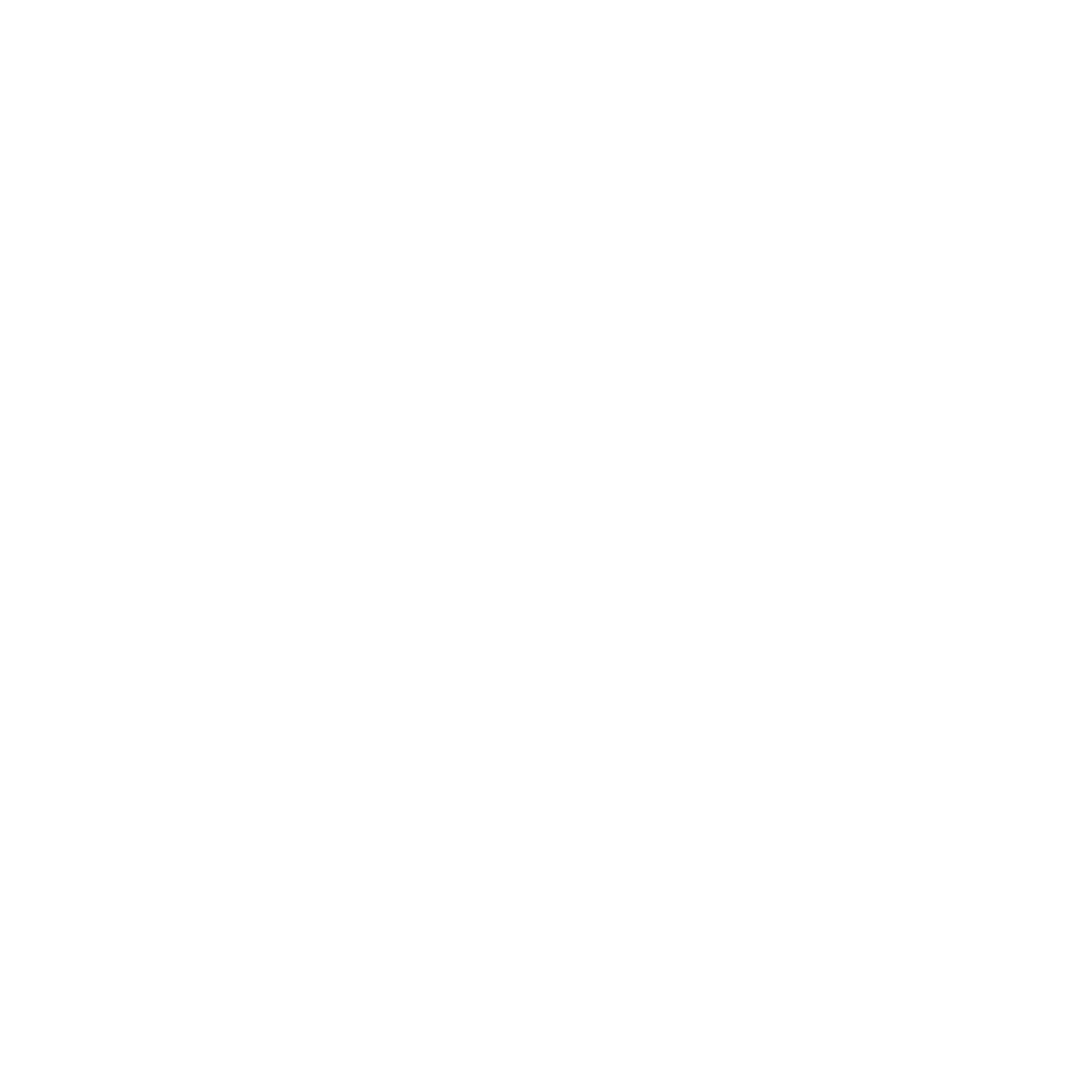 Esthetic Salon